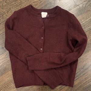 H&M Deep Burgundy Cardigan
